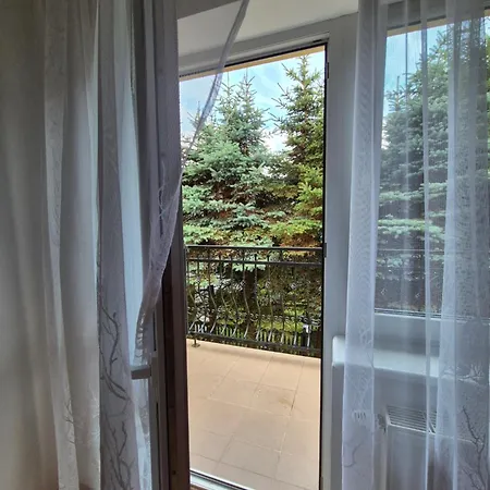 Bursztynowy Brzeg * Гонски